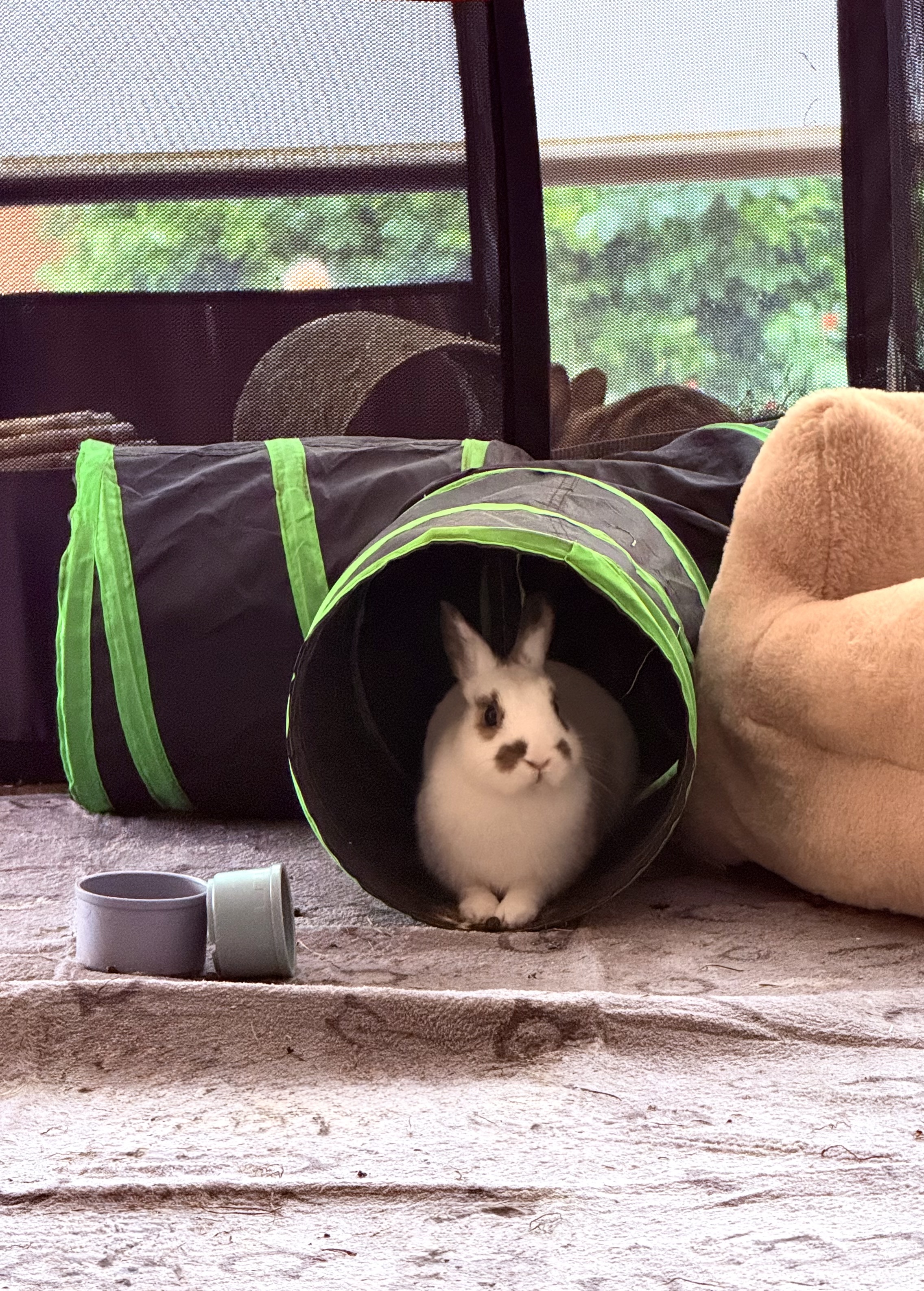 YAMI Túnel Interactivo Plegable de 4 Vías para Conejos — Refugio y Centro de Actividades para Roedores