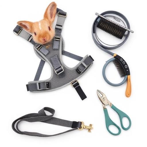 Accesorios