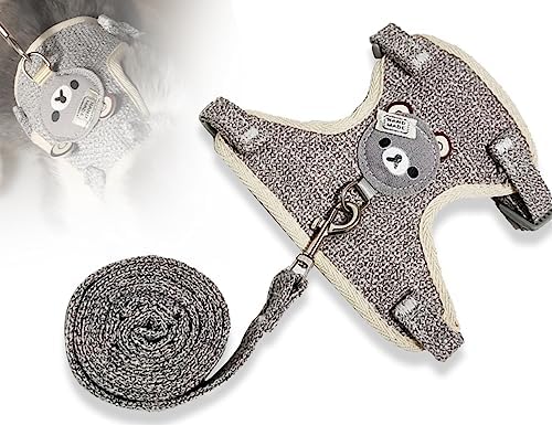 Conjunto de Paseo KAPSING: Seguridad y Estilo en Color Plata